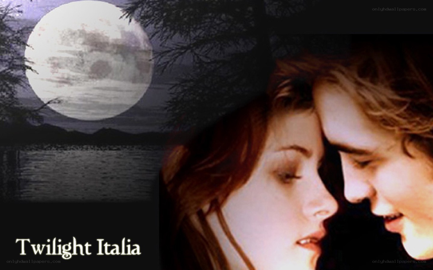 Twilight movie poster