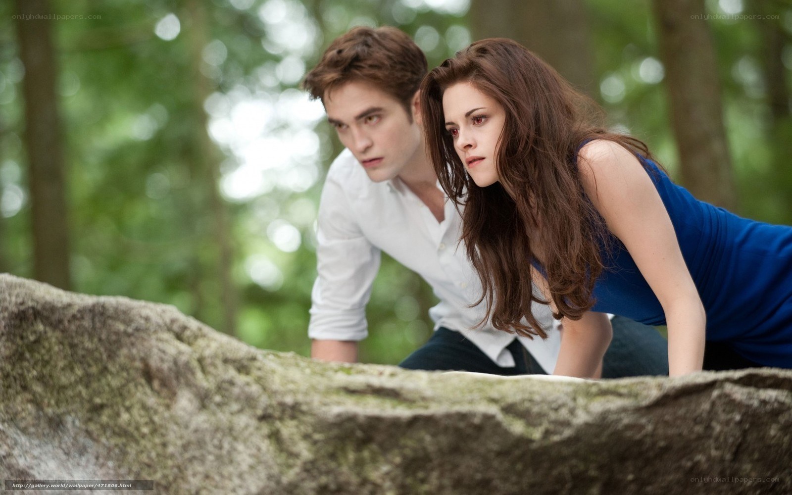 Twilight movie scene in forest