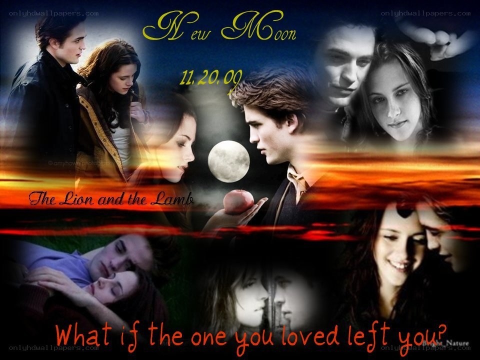 Twilight New Moon collage