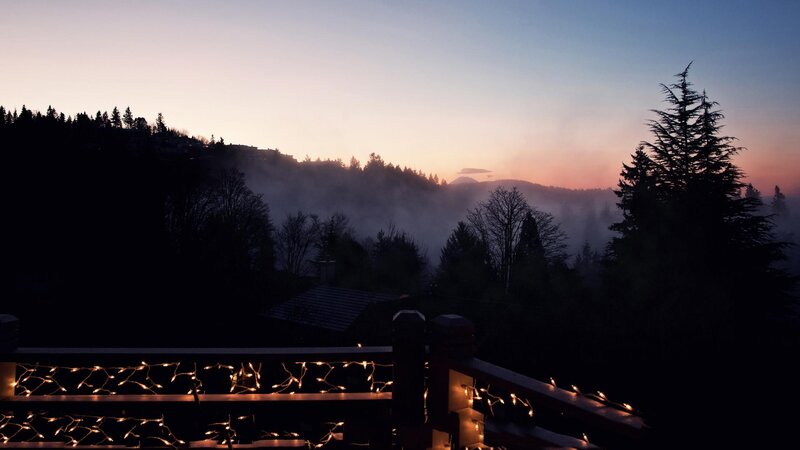 Twilight over a misty forest