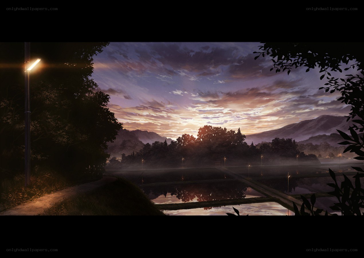 Twilight over the rice fields