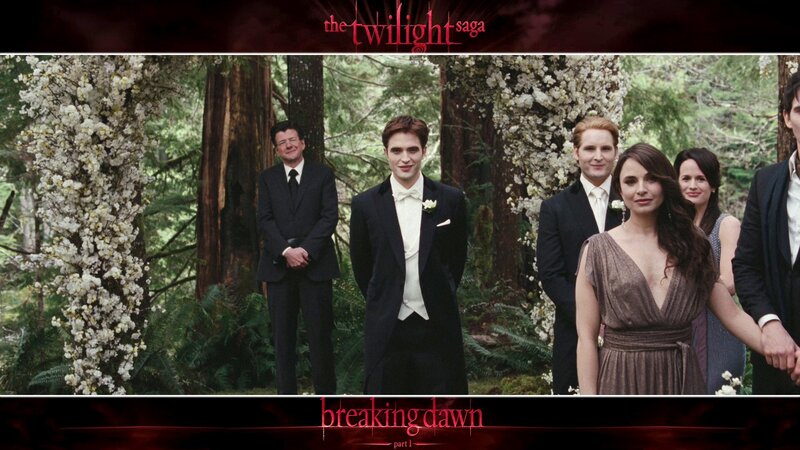 Twilight Saga: Breaking Dawn
