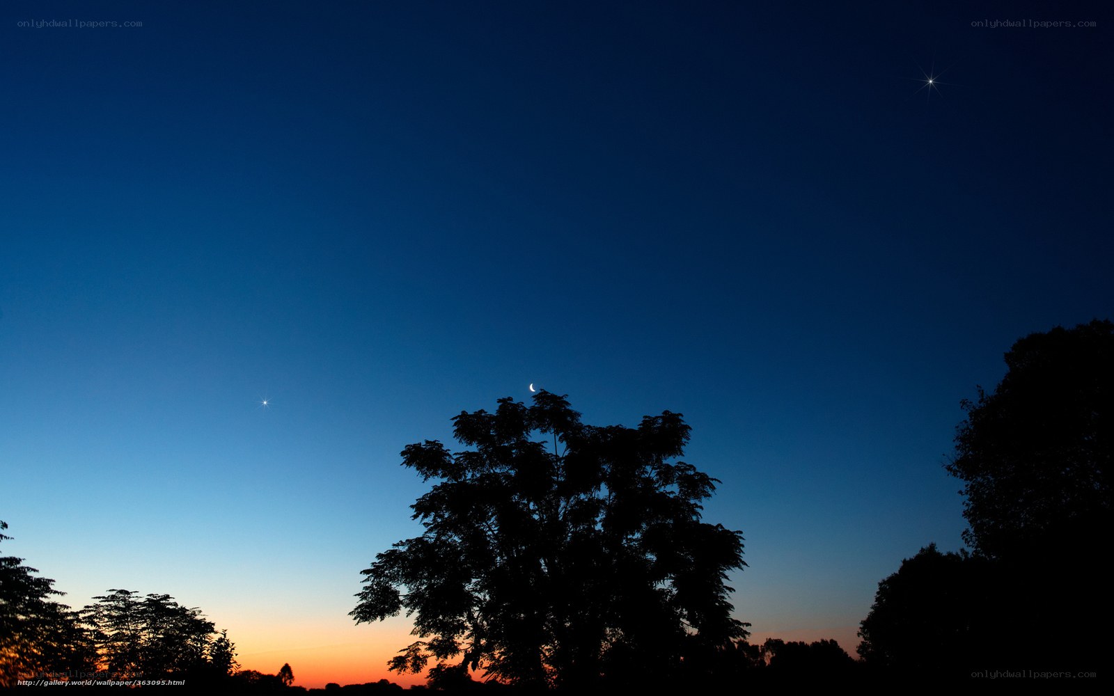 Twilight sky with crescent moon
