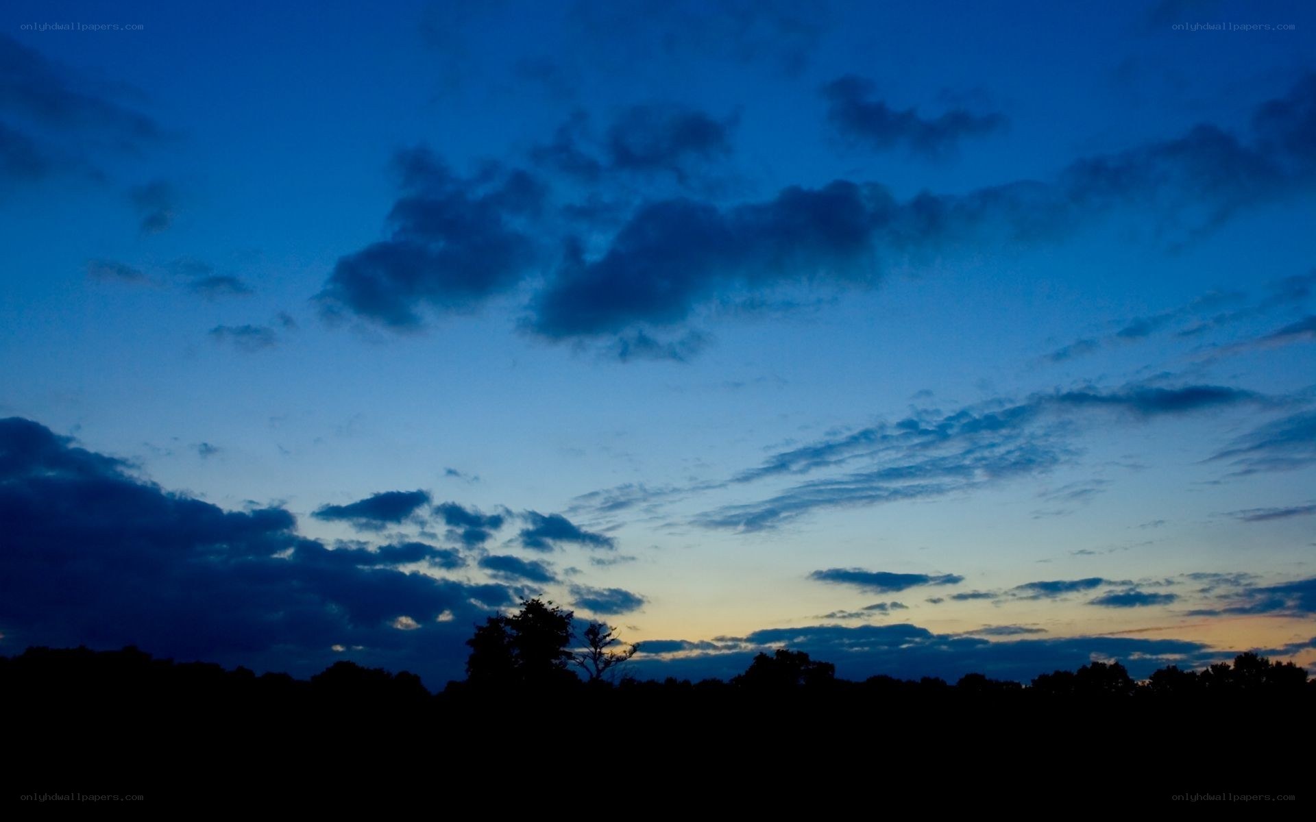 Twilight sky with silhouetted trees