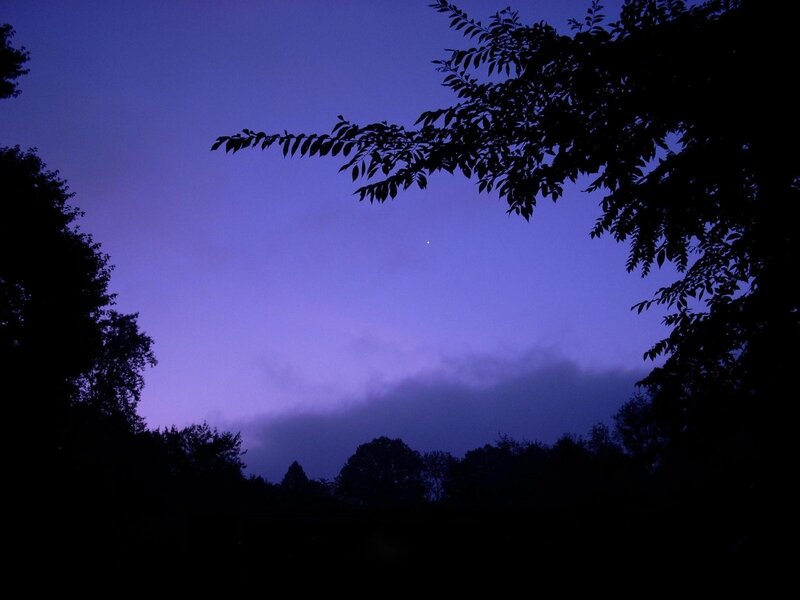 Twilight sky with tree silhouettes