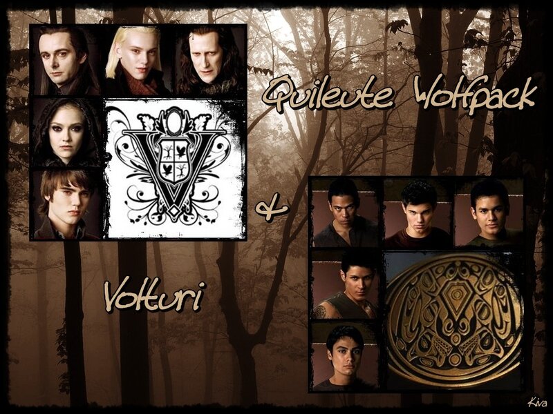 Twilight vampire and werewolf factions