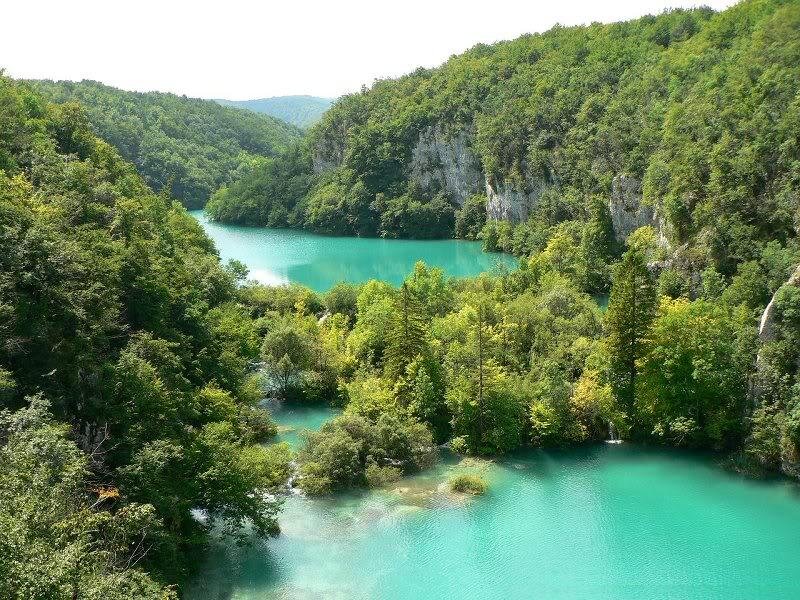 Twin Lakes in Forest