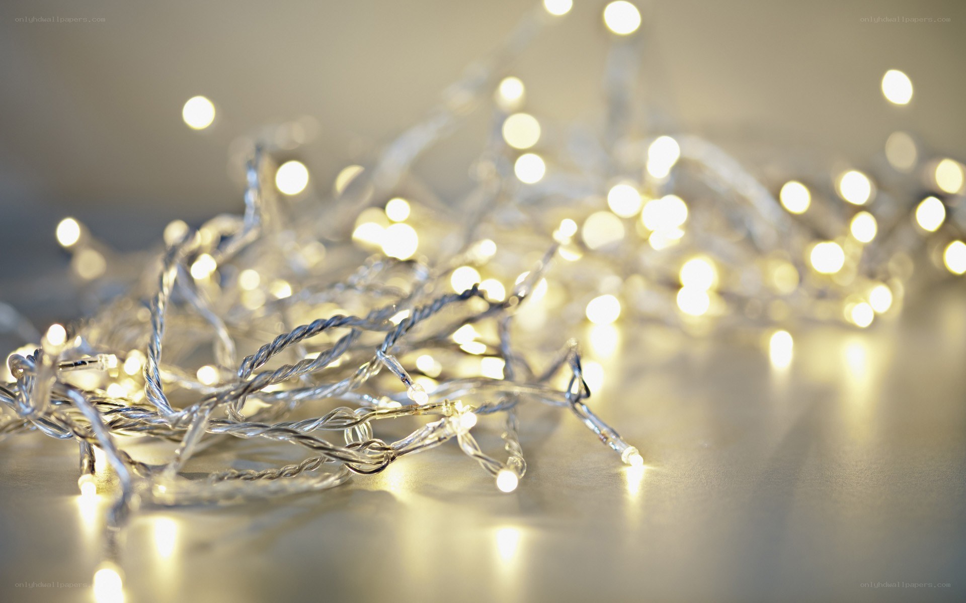 Twinkling fairy lights