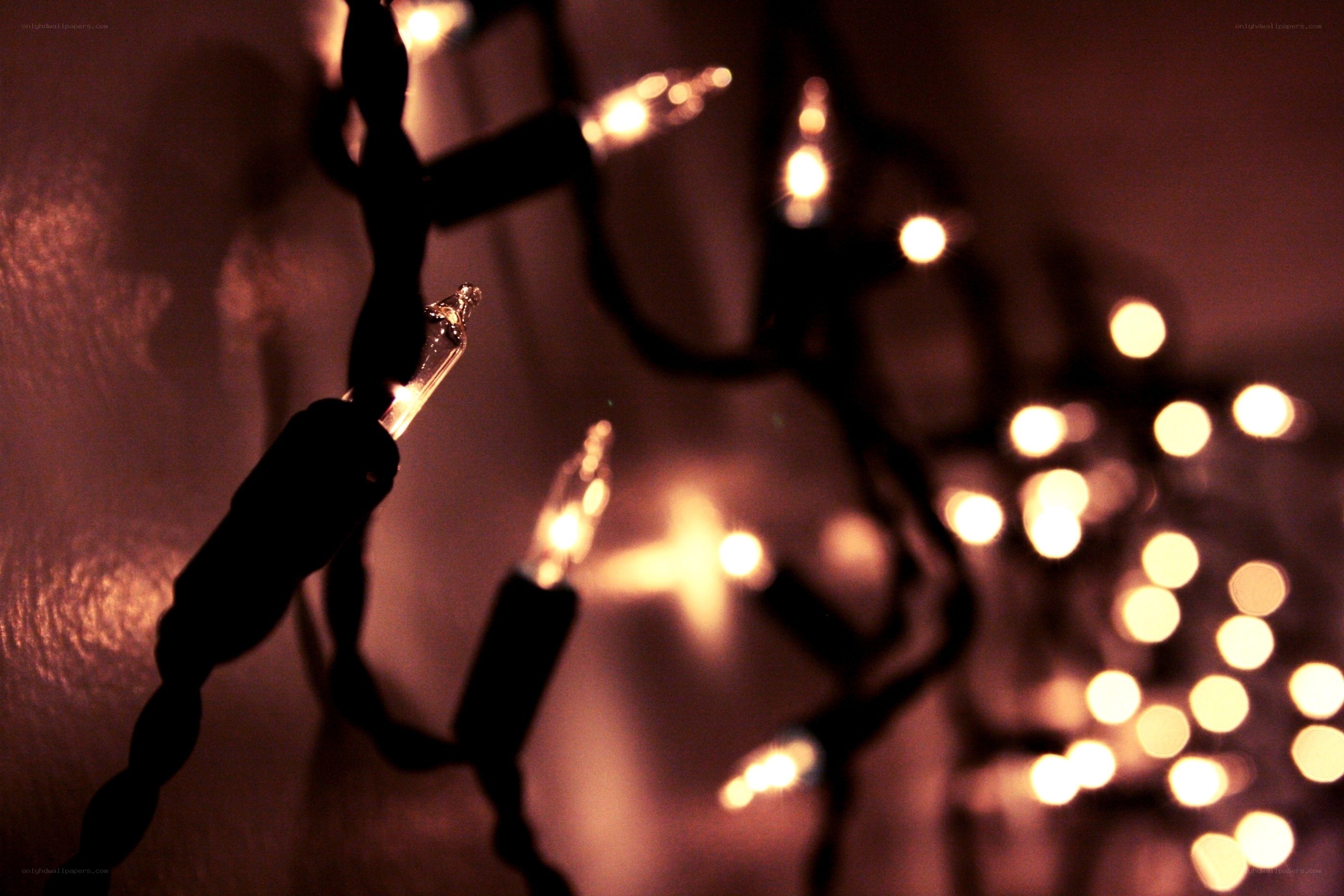 twinkling string lights