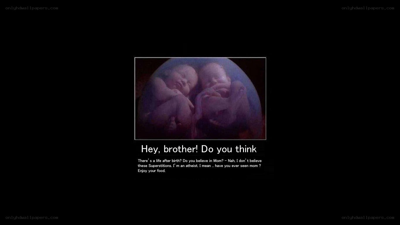 twins in womb meme