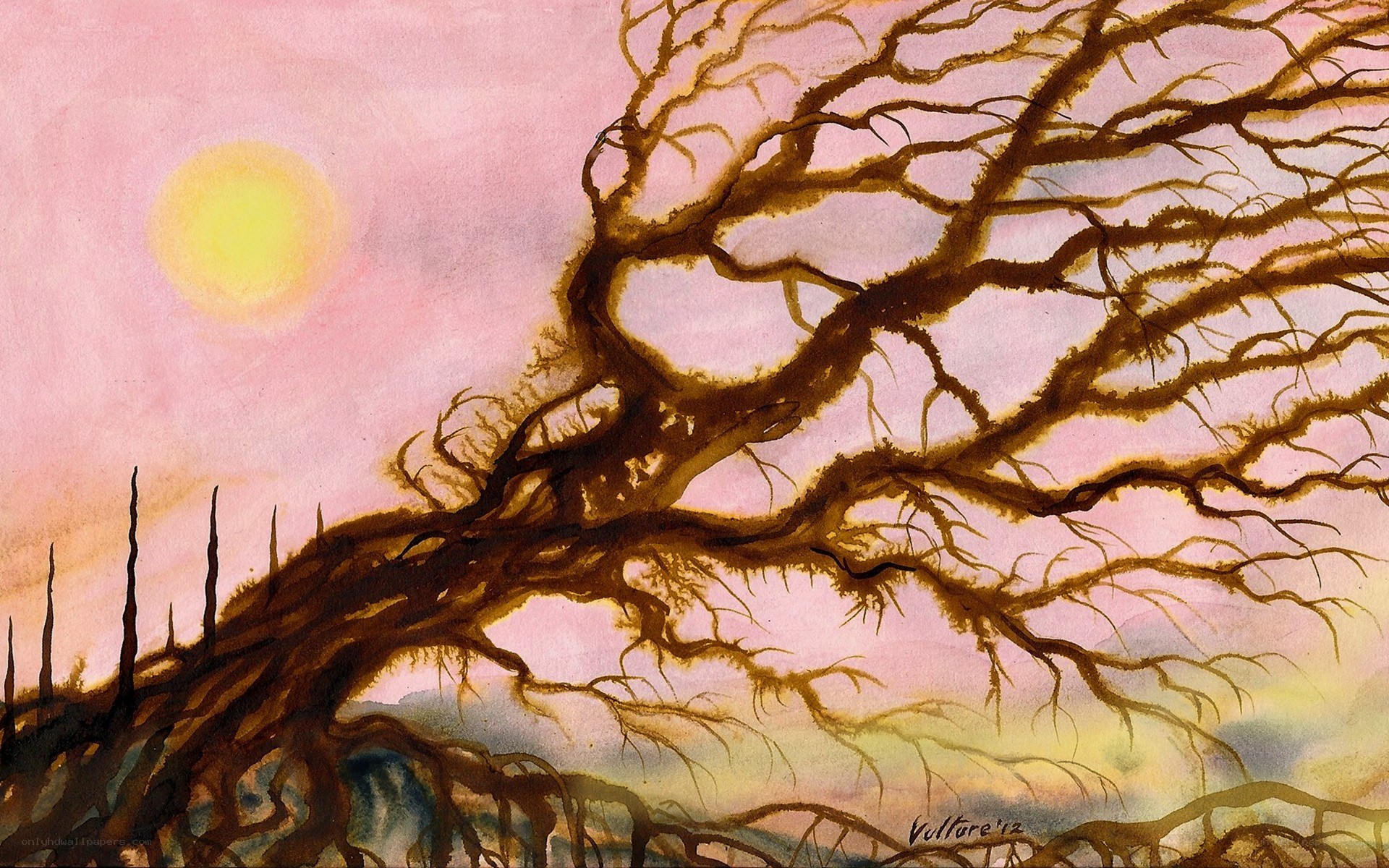 Twisted tree at sunset