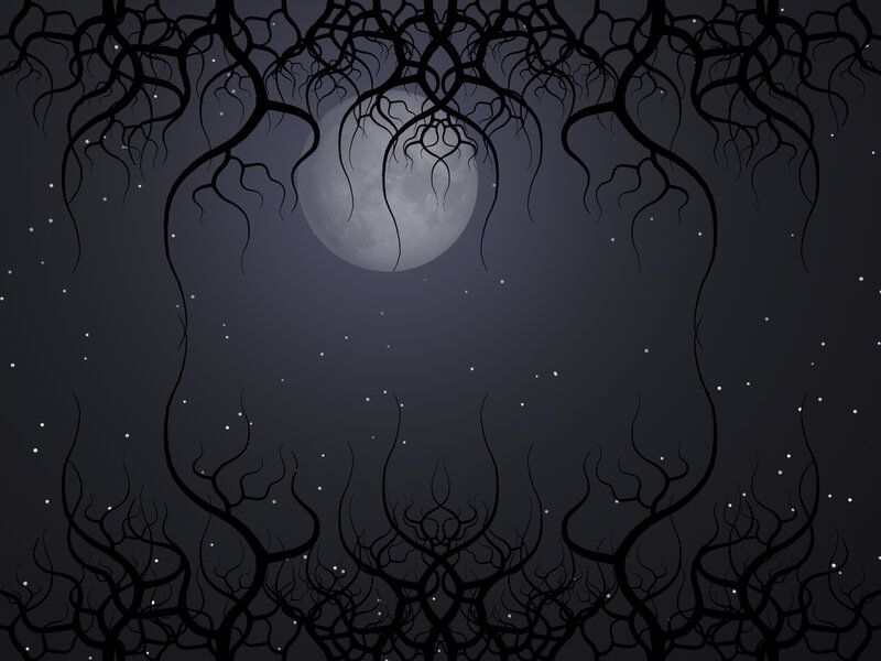 Twisted Tree Branches — Black, Dark