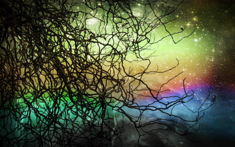 Twisted Tree Branches — Green, Dreamy