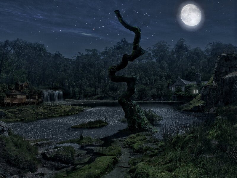 Twisted Tree by River