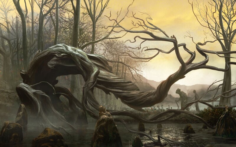 Twisted tree in a misty forest