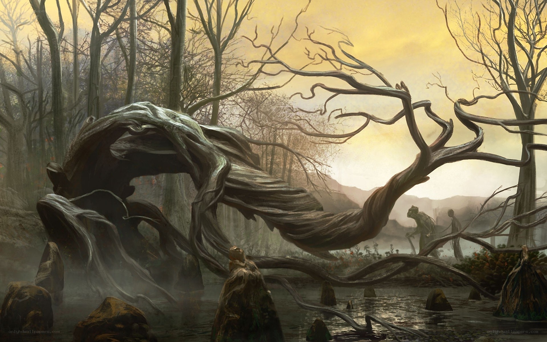 Twisted tree in a misty forest