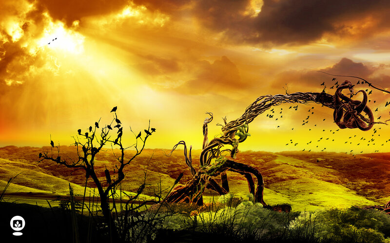 Twisted Tree in Landscape