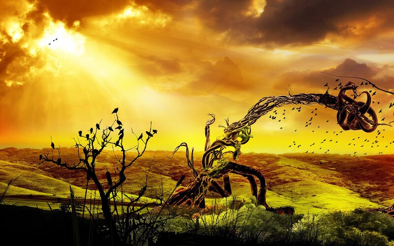 Twisted Tree in Landscape — Yellow