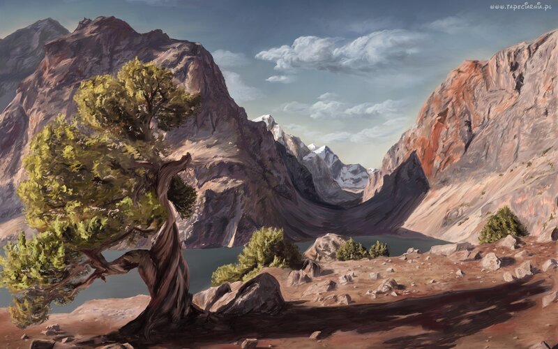 Twisted Tree in Mountains — Brown, Serene