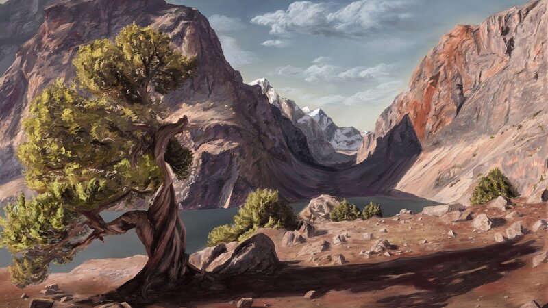 Twisted Tree in Mountains — Brown