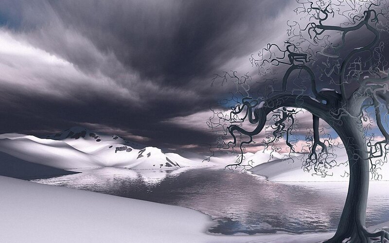 Twisted Tree in Snow