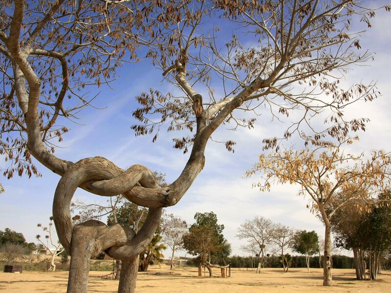 Twisted tree knot sculpture