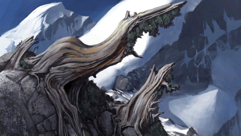 Twisted Tree on Mountain — Blue