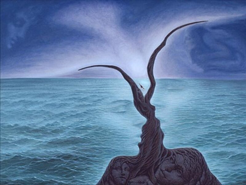 Twisted Tree on Rock
