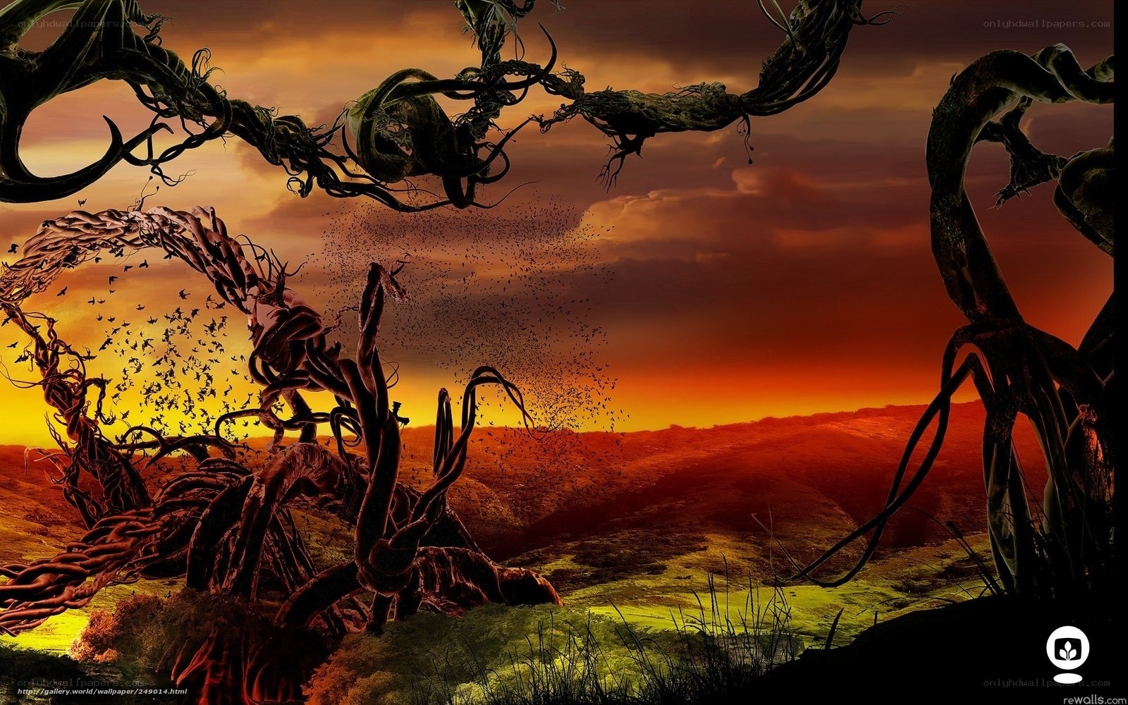 Twisted trees at sunset