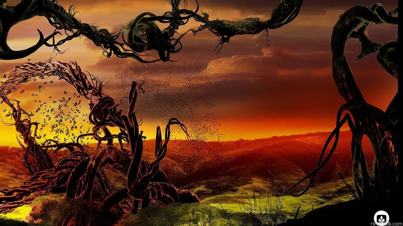 Twisted trees at sunset