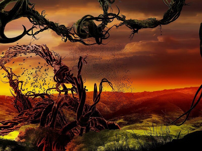 Twisted trees at sunset