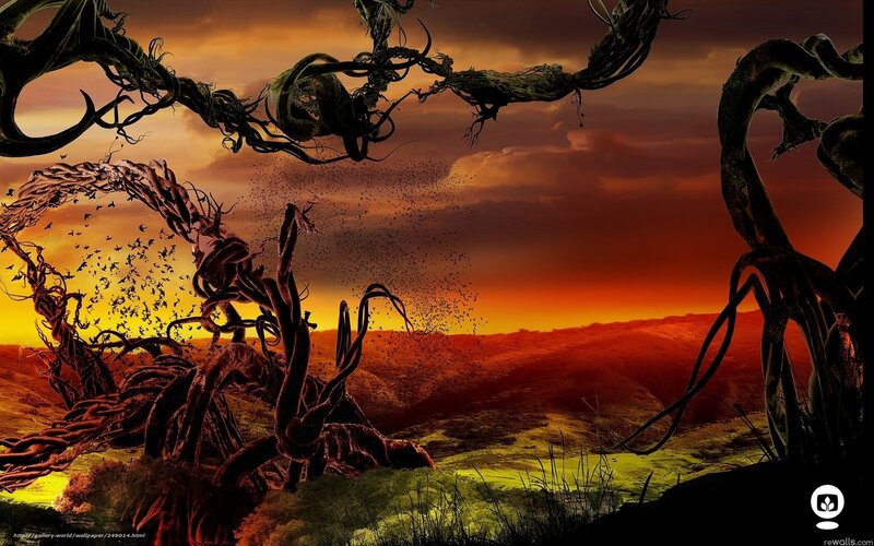 Twisted Vines in Landscape