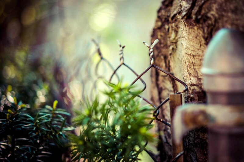 Twisted Wire Fence