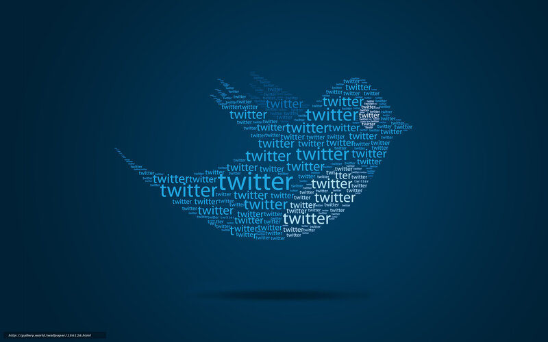 Twitter bird logo design