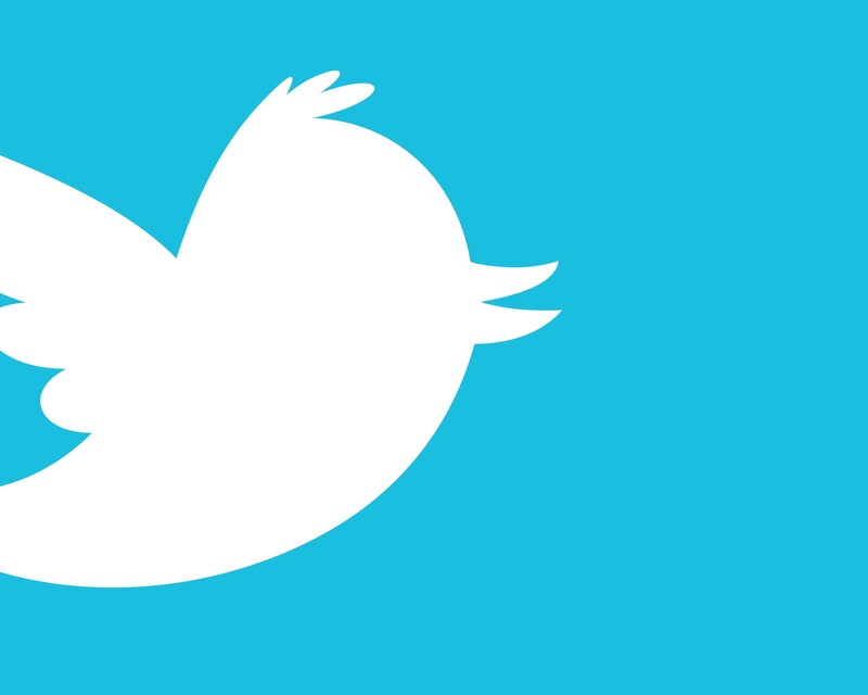 Twitter bird logo