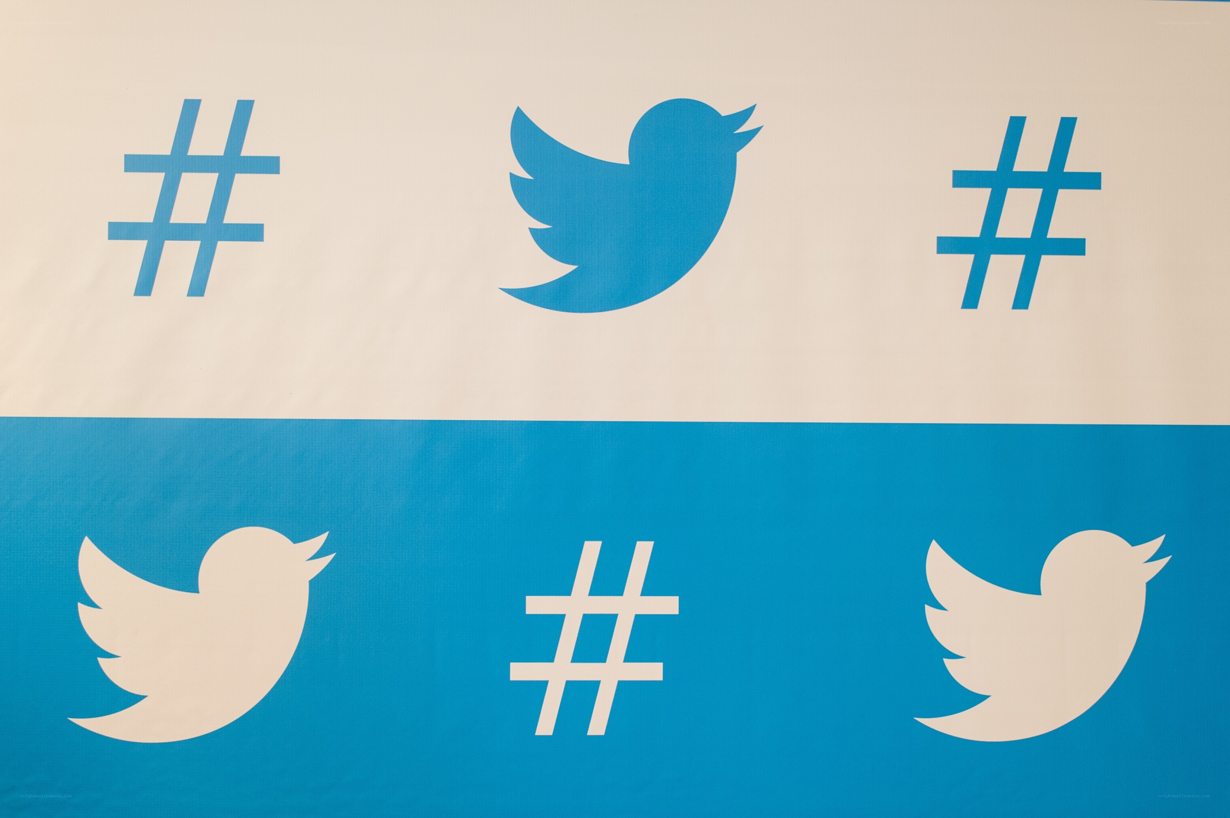 Twitter branding elements