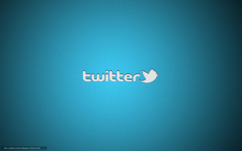Twitter Logo on Blue — Calm