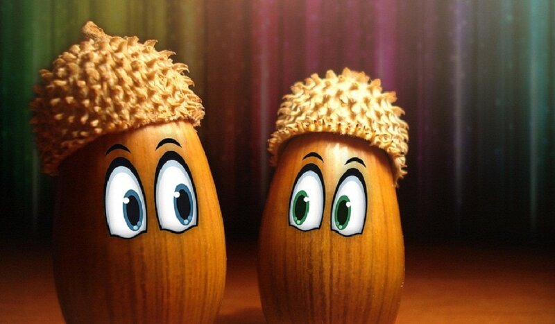 Two Acorn Characters