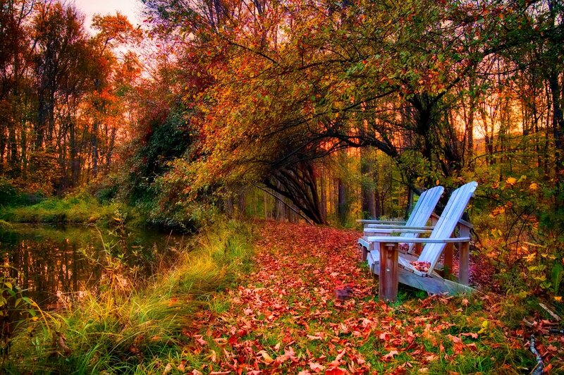 Two Adirondack Chairs — Orange