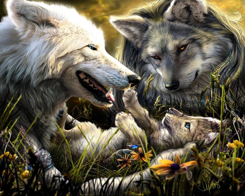 Two Adult Wolves with a Pup