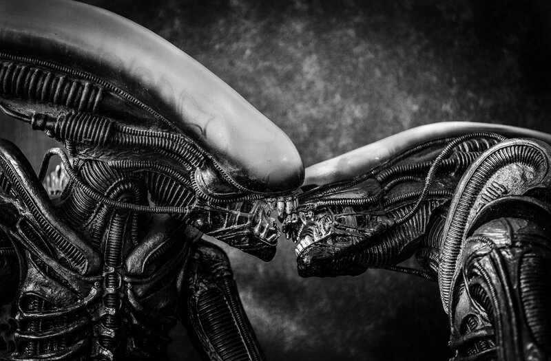 Two Alien Creatures Facing — Black, Dramatic