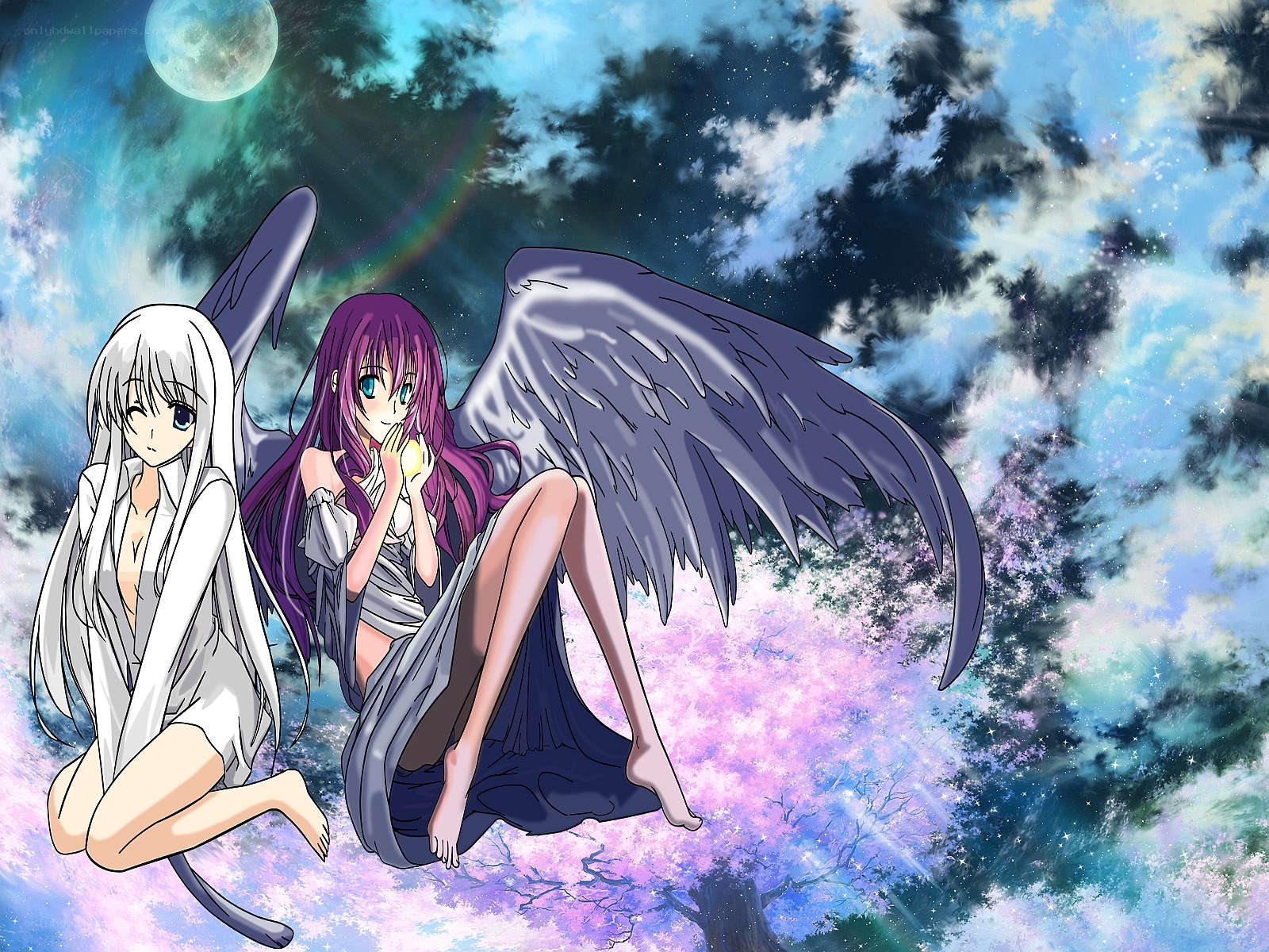 Two angels in a dreamy sky