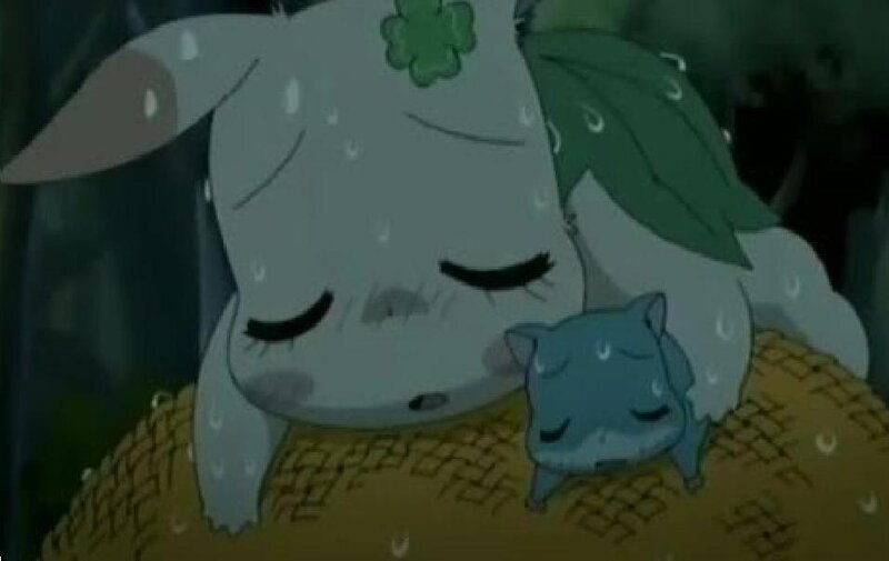 Two Animals in Rain