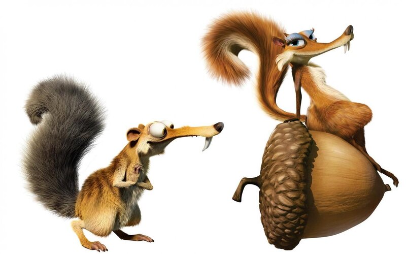 Two Animated Squirrels — Brown