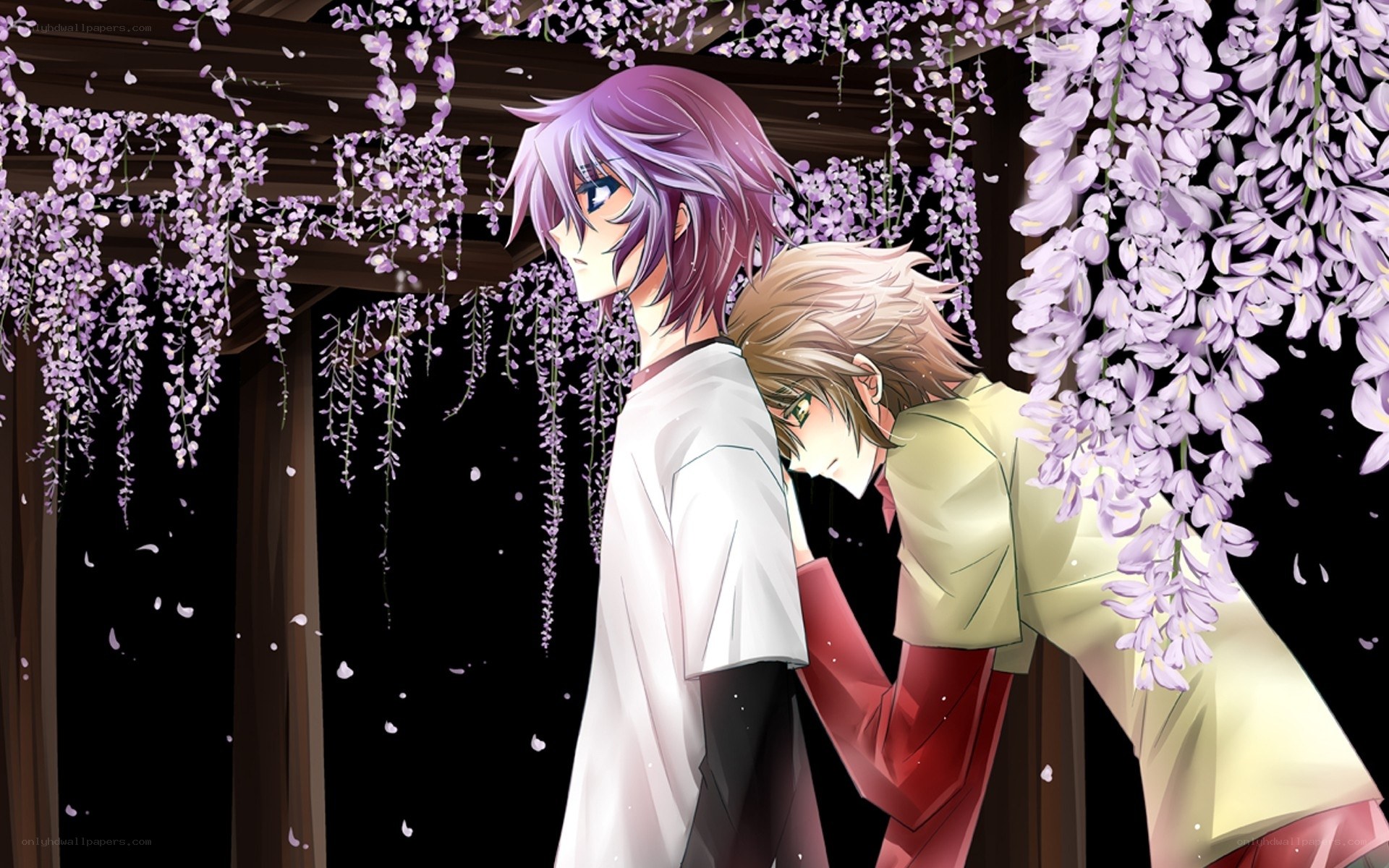 Two anime boys under wisteria