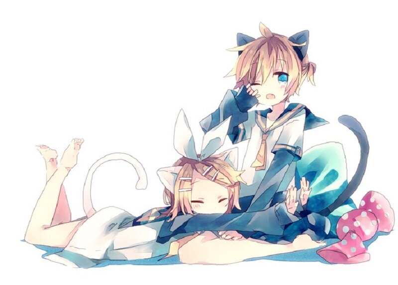 Two anime characters in cat costumes