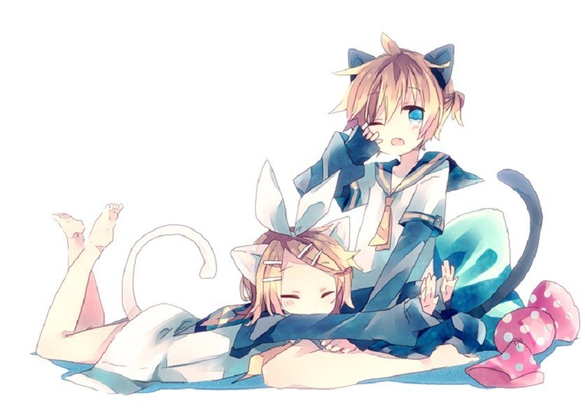 Two anime characters in cat costumes