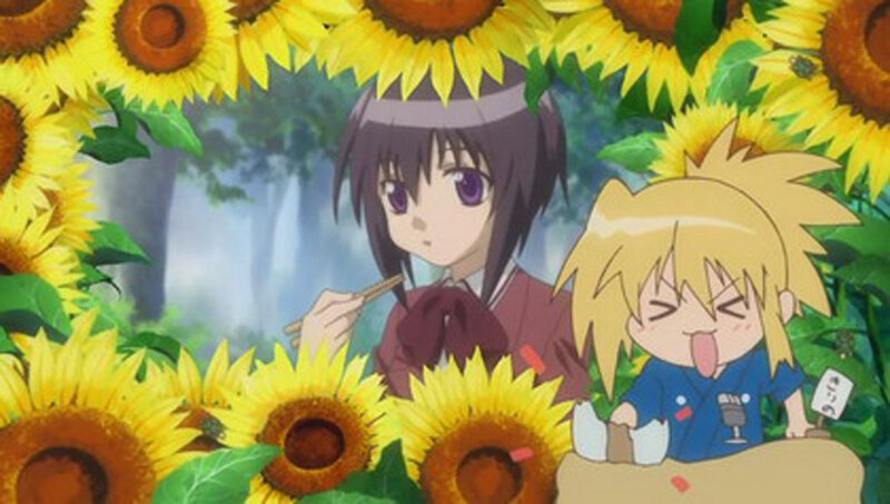 Two Anime Characters in Sunflowers