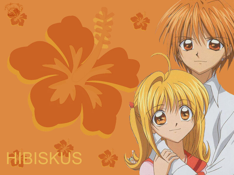 Two Anime Characters — Orange, Calm, Hibiscus Flower
