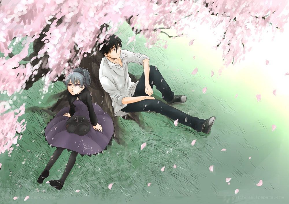 Two anime characters under cherry blossoms